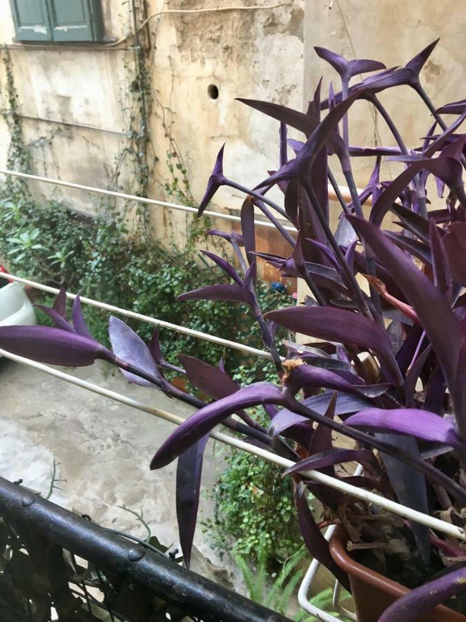 Hello Cathedral House Apartment Palermo Bagian luar foto